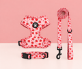 Lot fraise harnais, laisse et collier