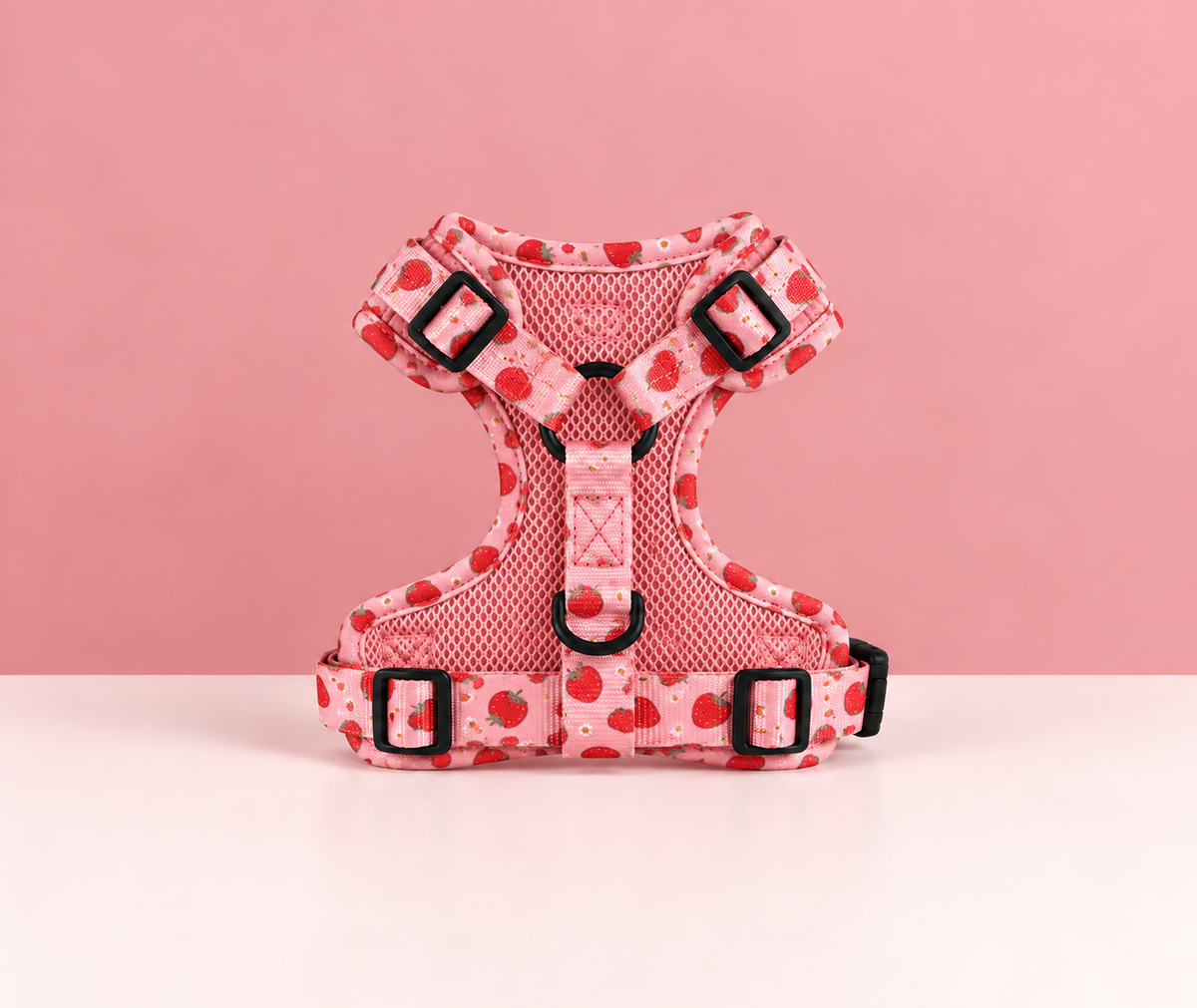 Lot fraise harnais, laisse et collier
