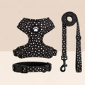 Lot pois harnais, laisse et collier