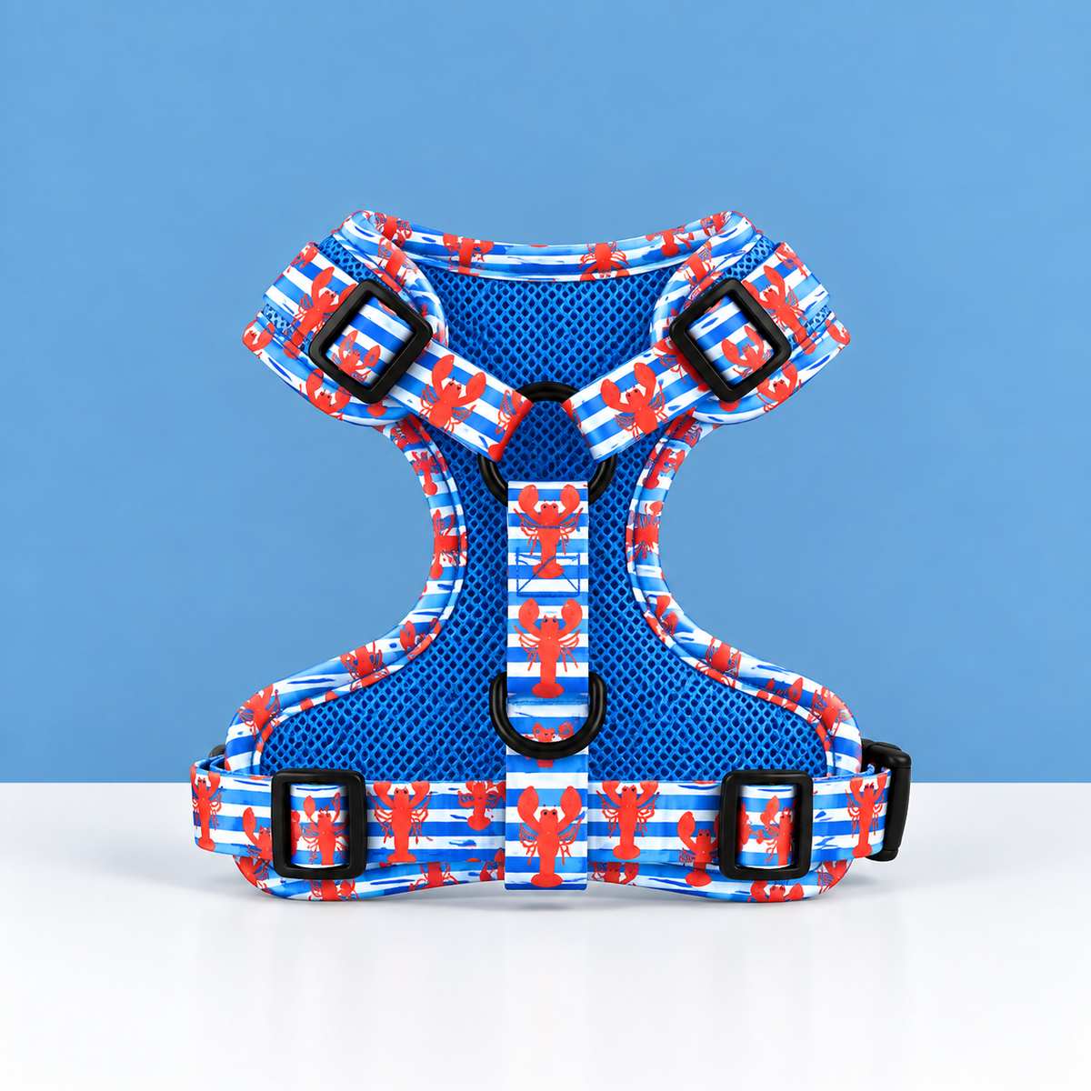 Lot homard harnais, laisse et collier
