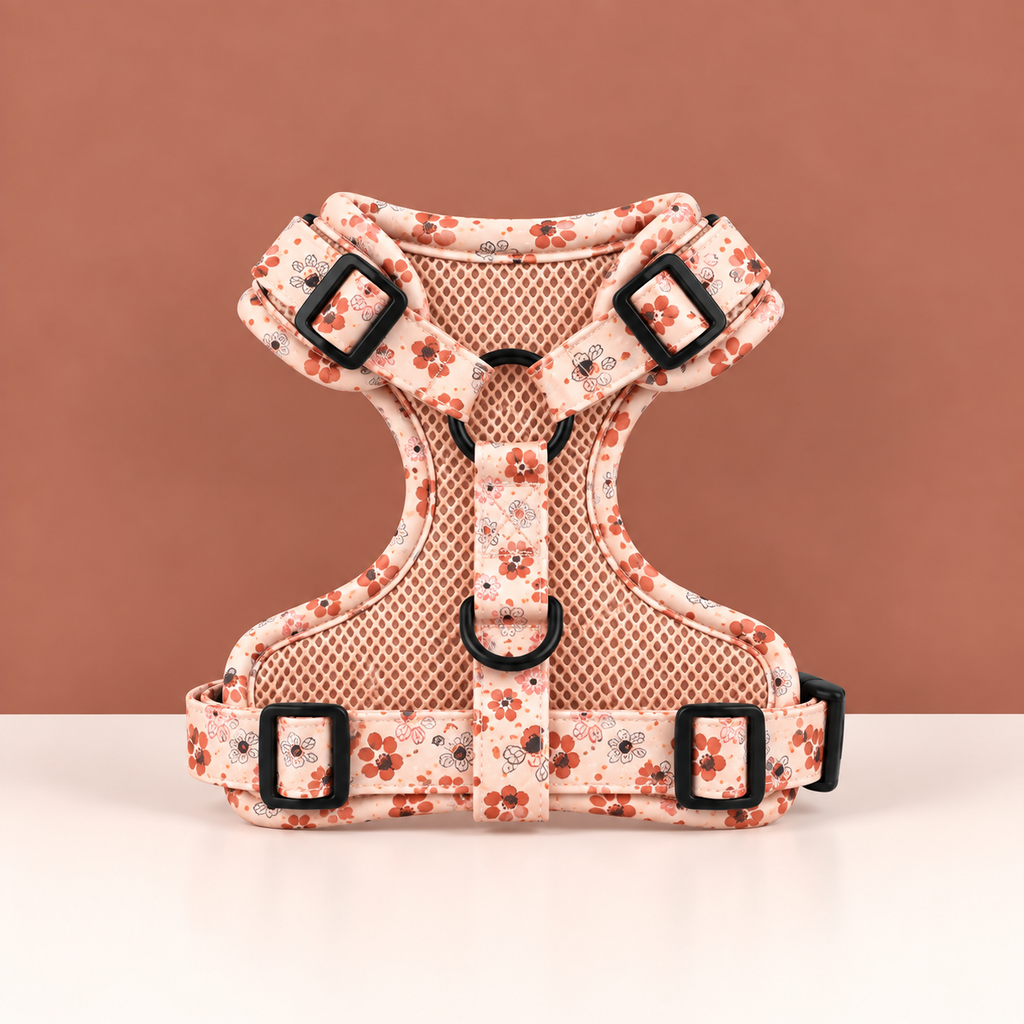 Lot fleur harnais, laisse et collier