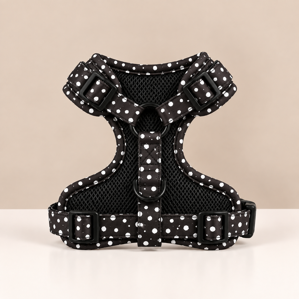 Lot pois harnais, laisse et collier