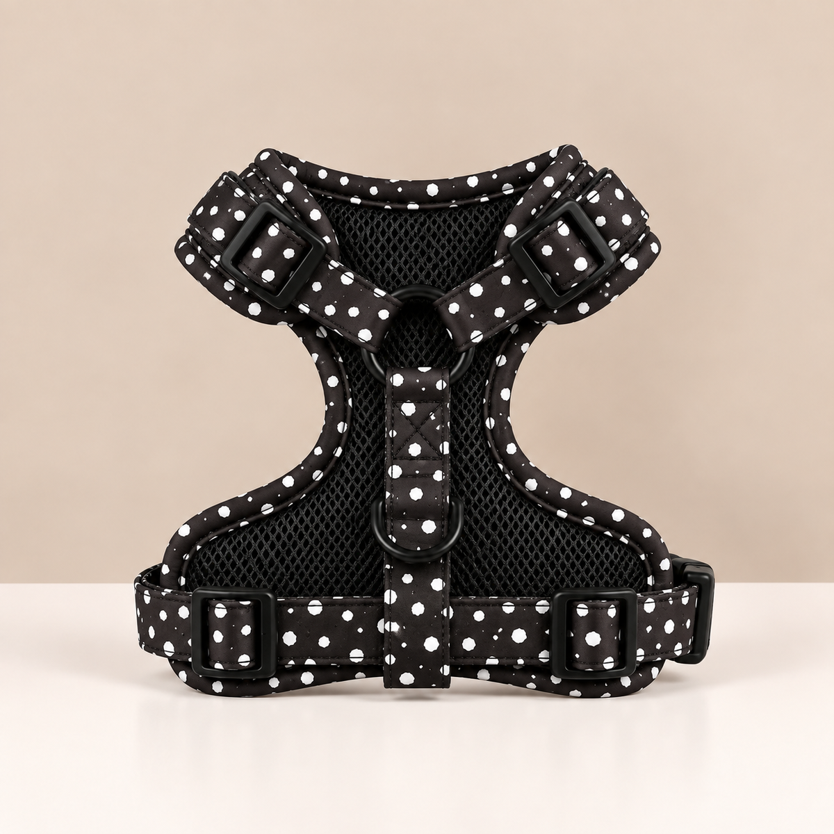 Lot pois harnais, laisse et collier