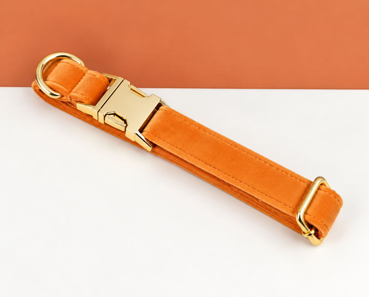 Collier velours orange