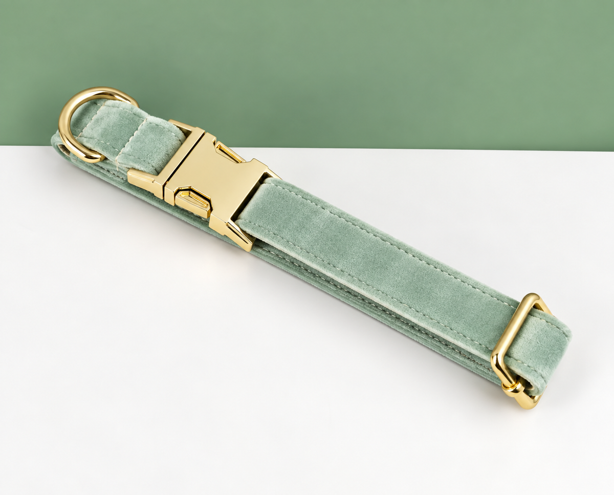 Collier velours vert clair