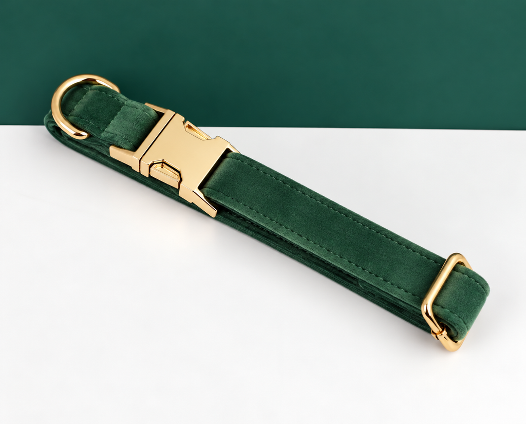 Collier velours vert