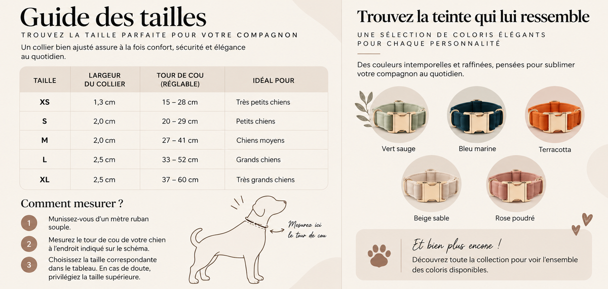 Guide du collier Collier léopard