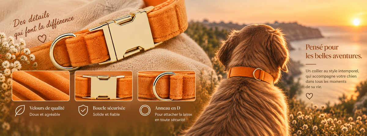 Détails du collier Collier velours orange