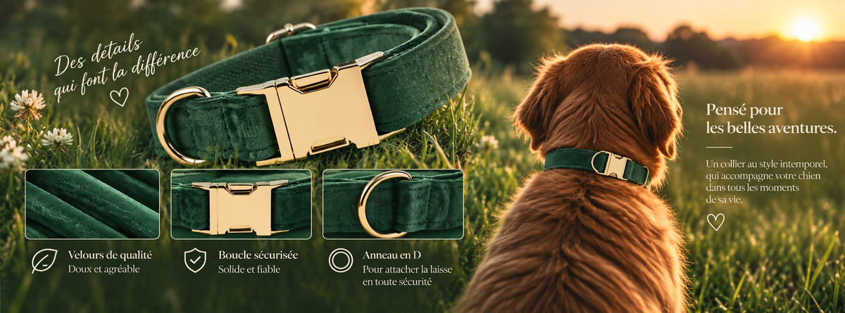 Détails du collier Collier velours vert