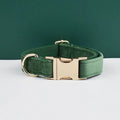 Collier velours vert