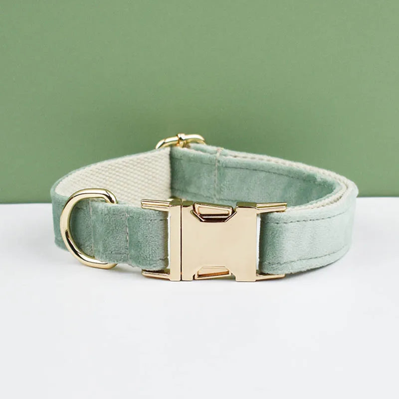 Collier velours vert clair