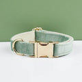 Collier velours vert clair